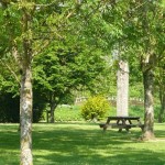 Table de pique-nique à l'ombre des arbres